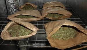 uk420__com