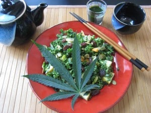 como-hacer-aceite-de-marihuana-cuajado-ensalada