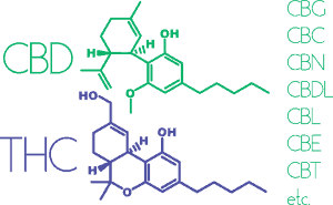 cannabinoides-en-la-marihuana-thc-cbd