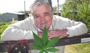 venta-de-cannabis-legal-en-uruguay-jose-mujica