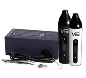 Vital XVape