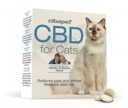 Pastillas CBD para gatos Cibapet